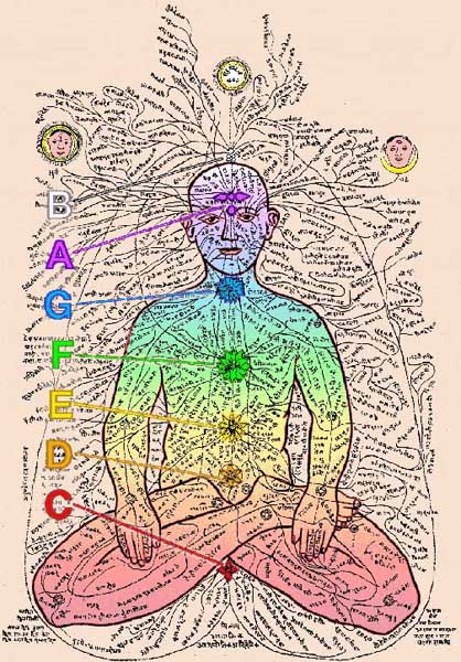 Colours and notes aligned to chakras